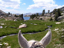 USA-California-High Sierras Wilderness Pack Trips